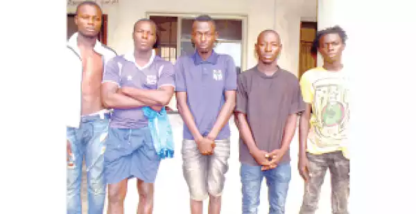 We Are Tricked Into Cultism With Birthday Parties – Suspect